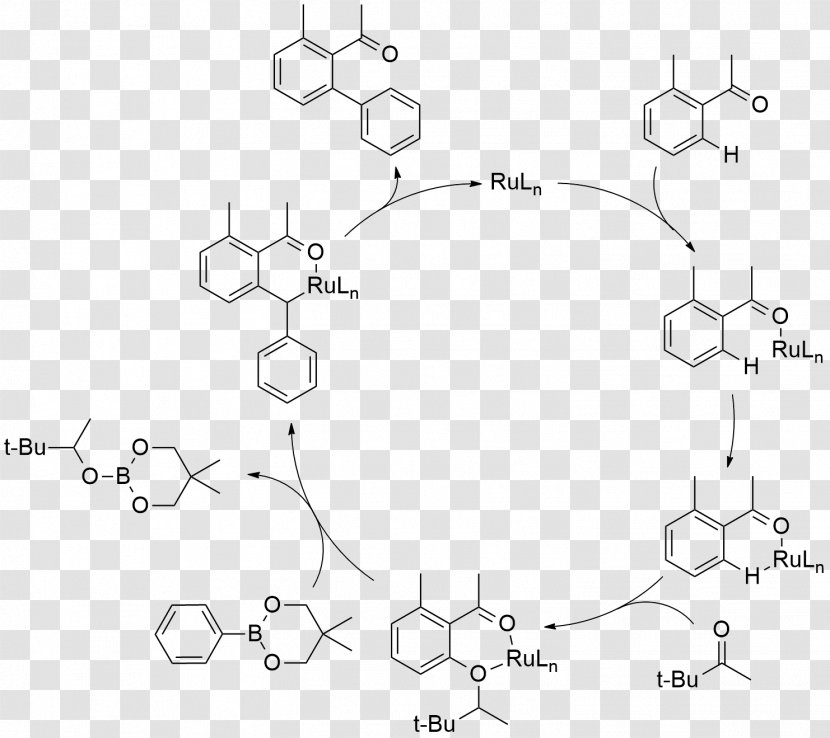 Aryl Catalysis Polymerization Palladium-catalyzed Coupling Reactions - Polymer - Palladiumcatalyzed Transparent PNG