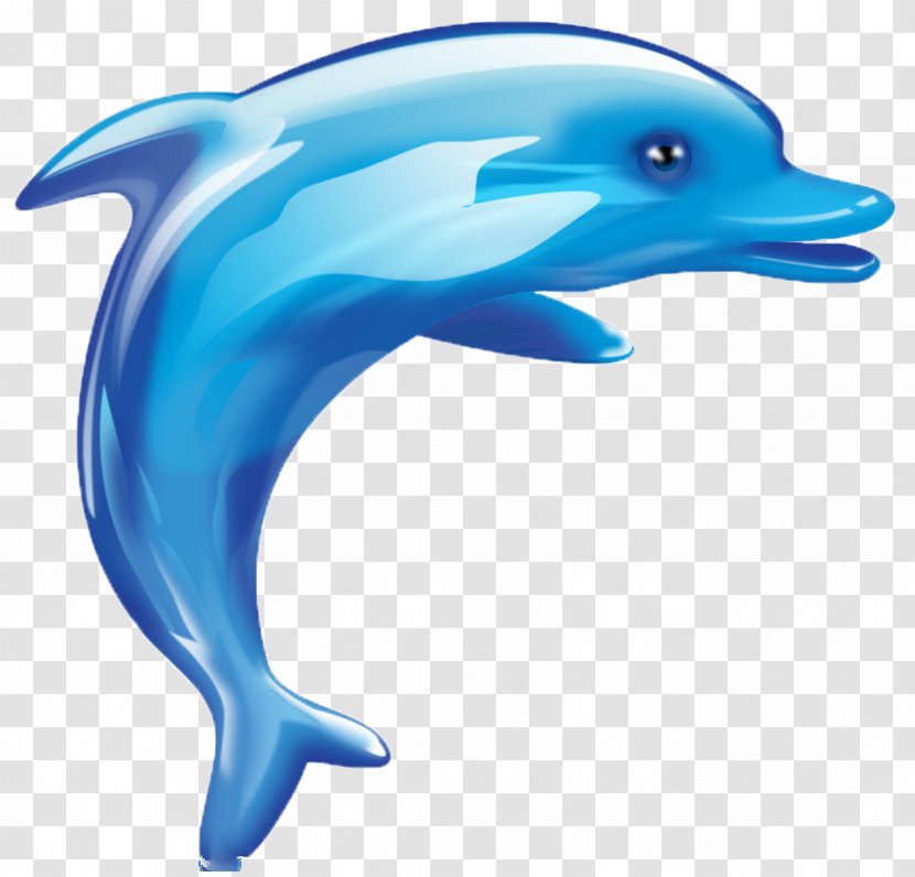 Dolphin Cartoon Cuteness - Dolphin,animal,lovely Transparent PNG