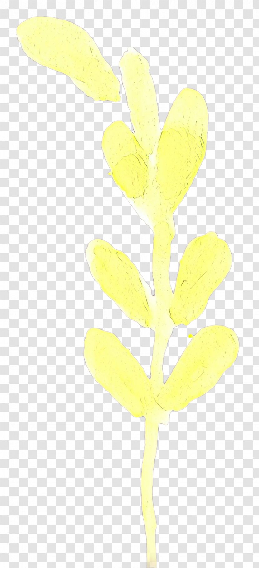 Yellow Flower Leaf Plant Pedicel - Cartoon - Flowering Stem Transparent PNG