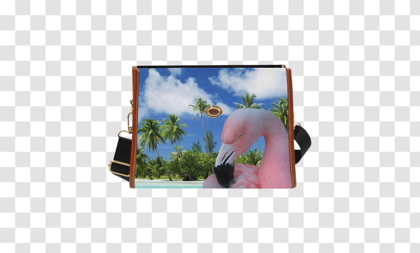 Desktop Wallpaper High-definition Television Display Resolution Beach Image - Computer Monitors - Flamingo Printing Transparent PNG