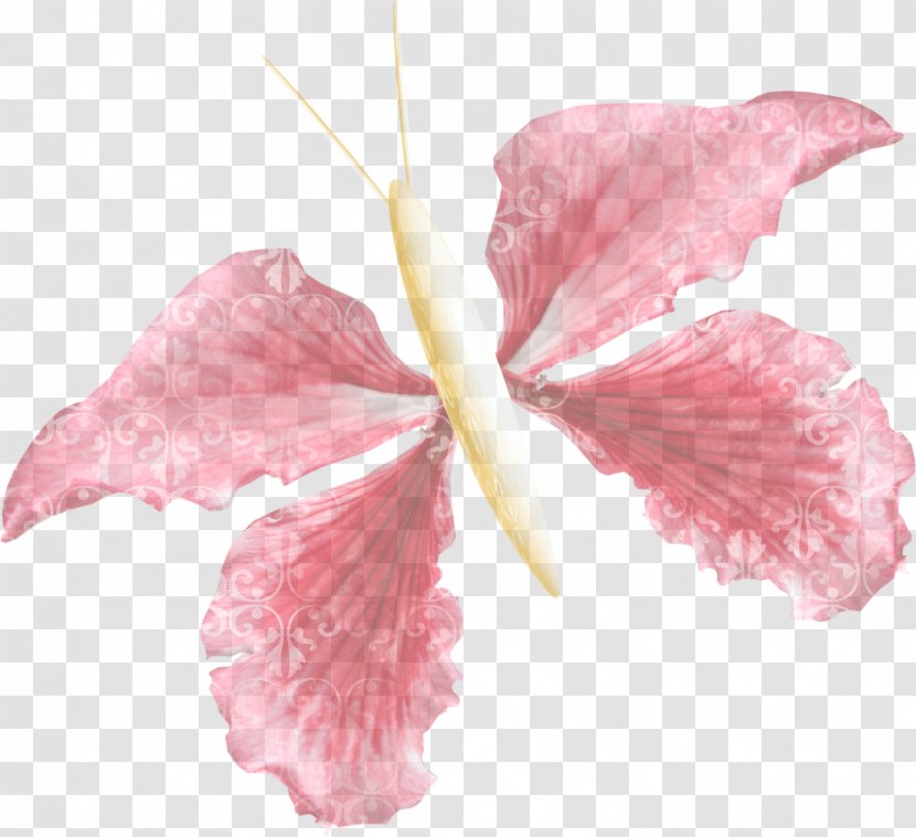 Pink Petal Hawaiian Hibiscus Flower Plant - Iris Flowering Transparent PNG