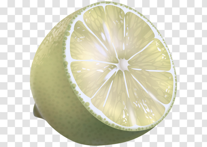 Citrus Lime Lemon Fruit Persian Lime Transparent PNG