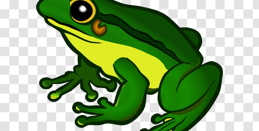 Frog Clip Art Transparency Desktop Wallpaper - Tree Transparent PNG