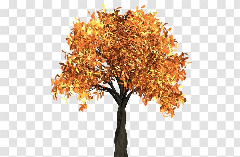 Tree Autumn Leaf Color Clip Art - Twig - Orange Transparent PNG