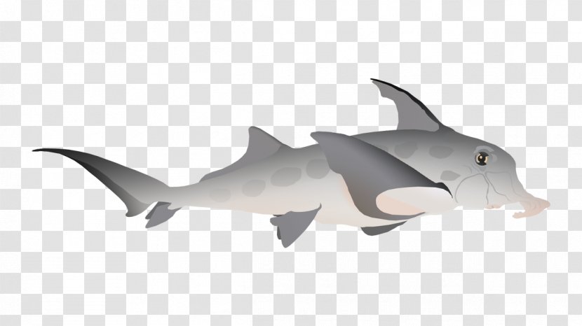 Requiem Sharks Porpoise Fauna Cetacea - Shark Transparent PNG
