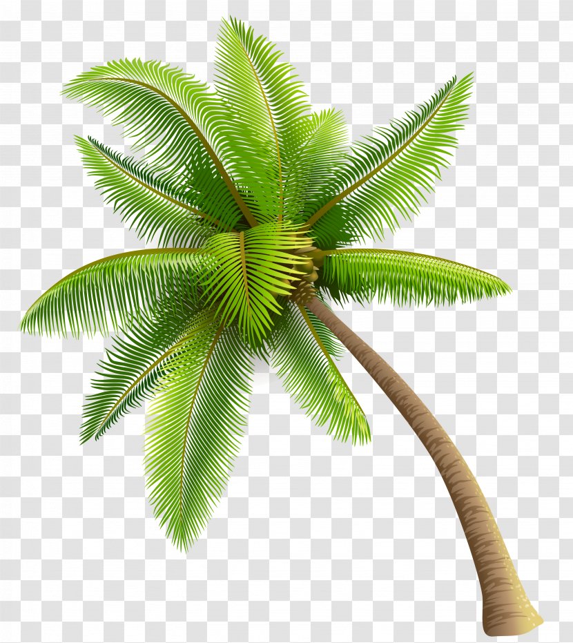 ZoLo Need Somebody (feat. Tory Lanez) Single Walk Away - Frame - Green Palm Tree Clipart Transparent PNG