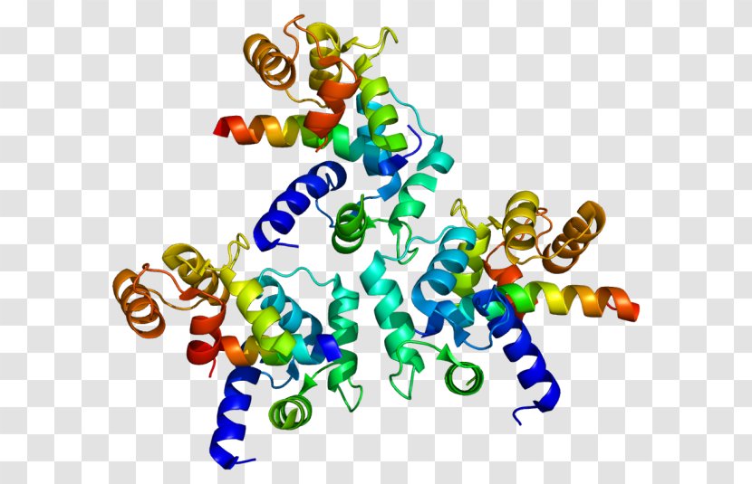 L-type Calcium Channel Voltage-gated Cav1.3 Protein Subunit - Art - Genomics Cliparts Transparent PNG