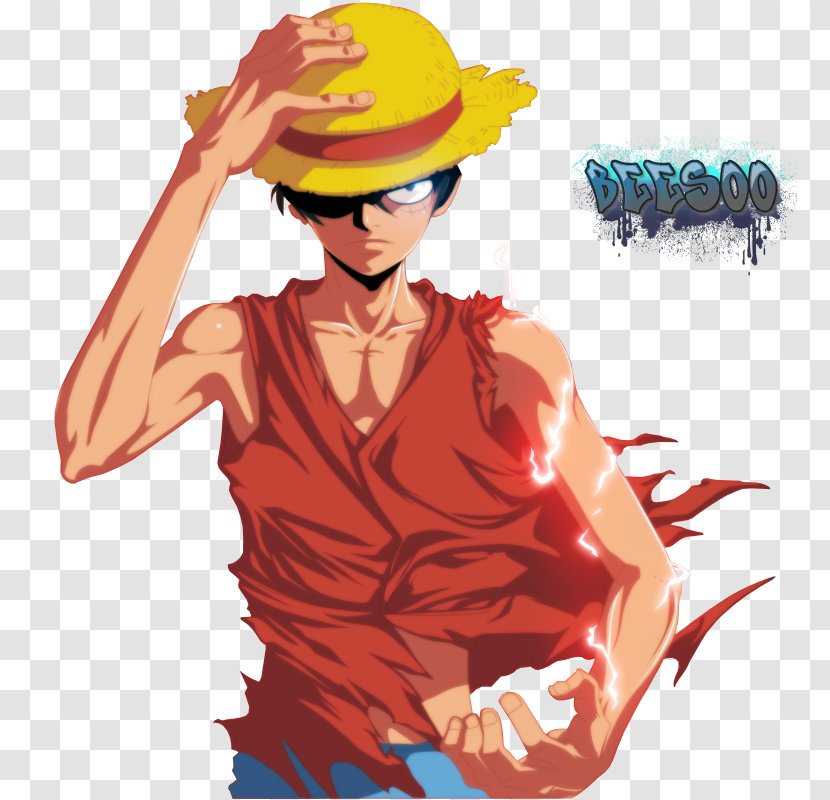 Monkey D. Luffy Portgas Ace One Piece Animation - Flower Transparent PNG