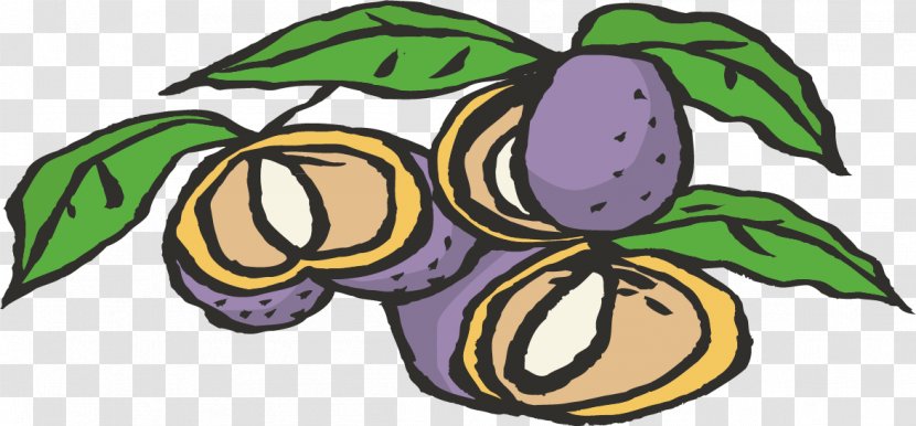 Blueberry Clip Art - Fruit Vector Material Transparent PNG