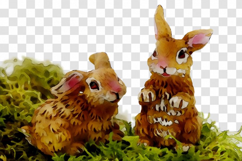 Easter Bunny Domestic Rabbit Video Transparent PNG