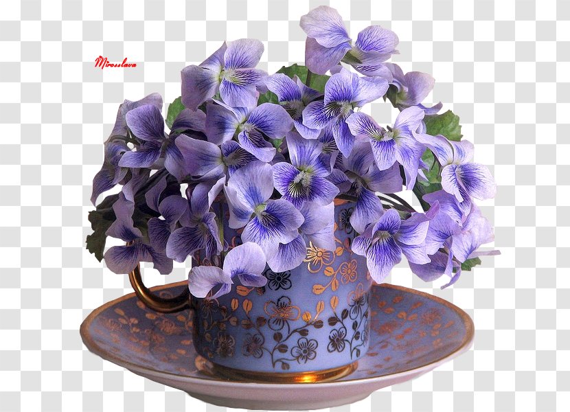 Flower Pictorial Carpet Floral Design Vase Machine-Woven - Purple Transparent PNG