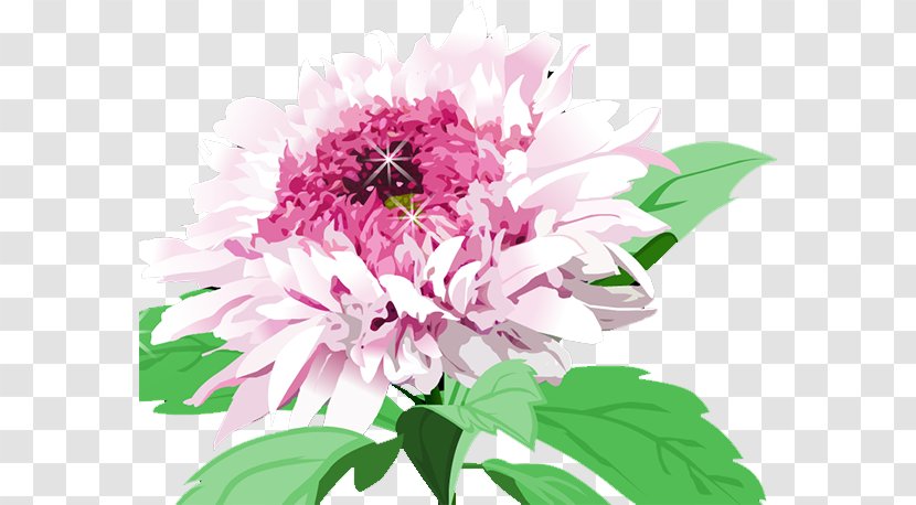 Floral Design Chrysanthemum Cut Flowers Education Transparent PNG