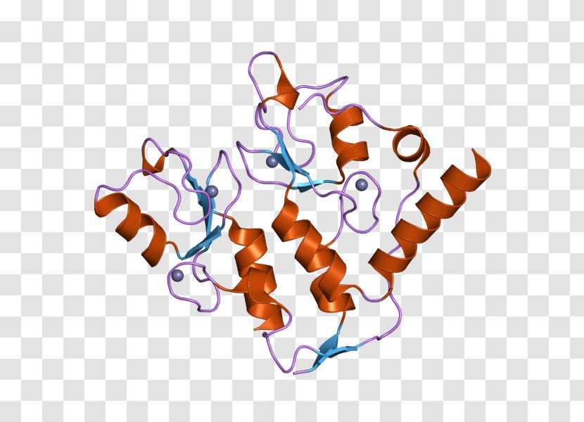 HINT1 Tumor Suppressor Gene Protein Haploinsufficiency - Computer - European Bioinformatics Institute Transparent PNG