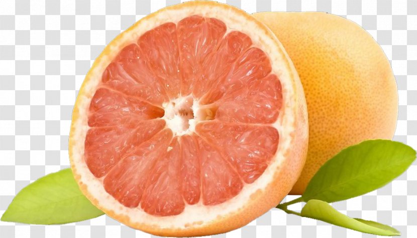 Orange Juice Grapefruit Arance A Ribera Azienda Agricola Guarraggi DOP Citrus Fruit - Bitter Transparent PNG