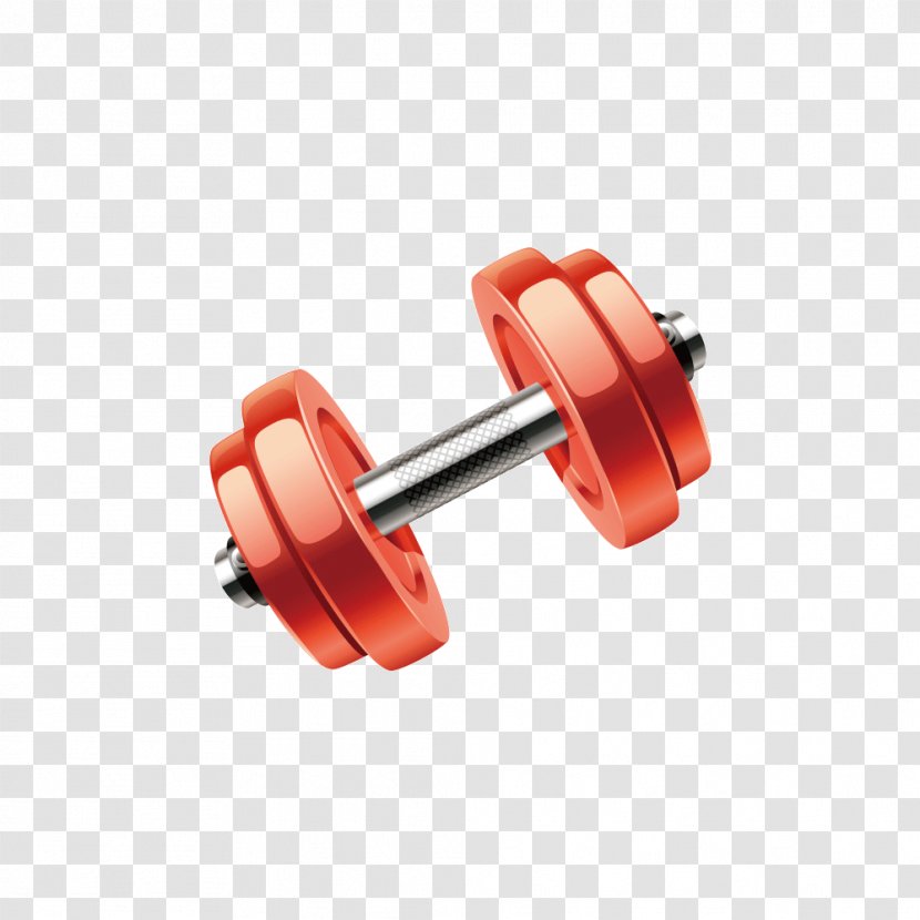 Dumbbell Physical Fitness Olympic Weightlifting Bodybuilding - Designer - Creative Transparent PNG