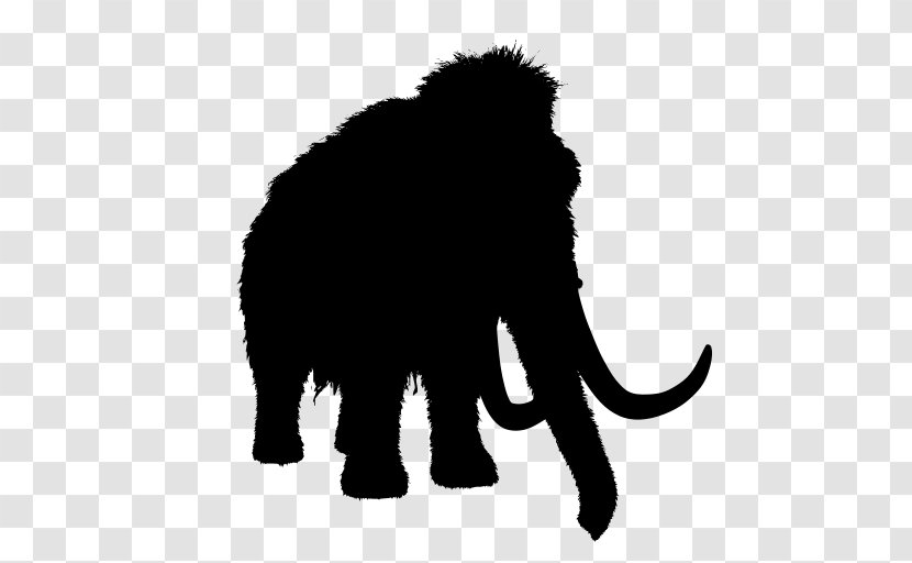Elephant Background - Wildlife - Tail Transparent PNG