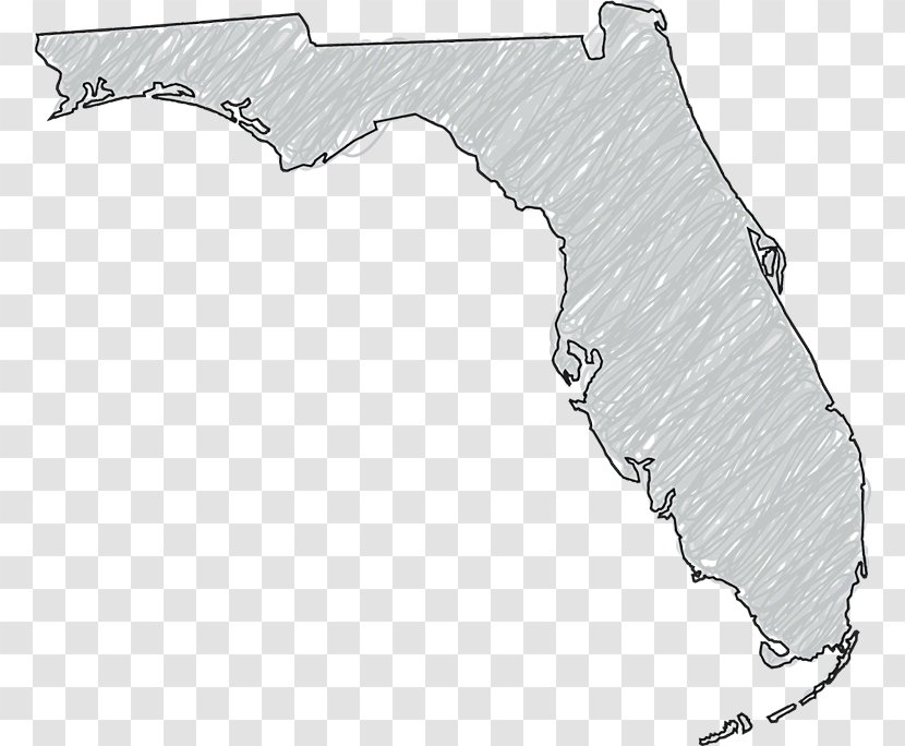 Orange County, Florida Georgia Alabama Map Clip Art - Vector Transparent PNG