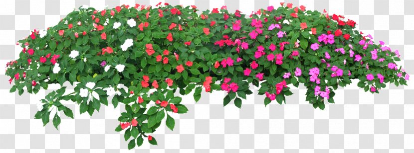 Flower Tree Photography Clip Art - Cut Flowers - Rose Garden Transparent PNG
