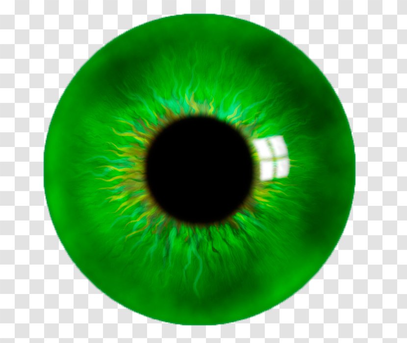 Green Close-up Eyelash - Tree - Silhouette Transparent PNG