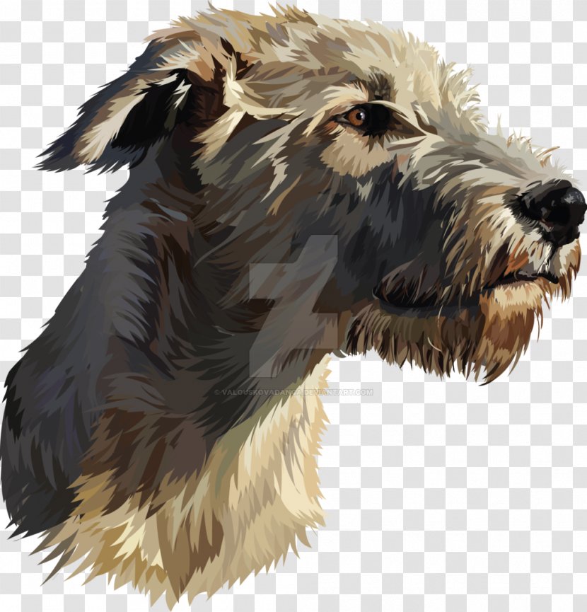 Glen Of Imaal Terrier Irish Wolfhound Scottish Deerhound Bearded Collie Borzoi - Hound - Drawing Transparent PNG