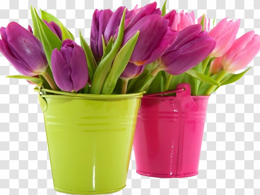 Tulip Desktop Wallpaper Flower Pink Purple - Wreath - Bucket Transparent PNG