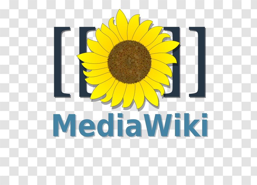 MediaWiki Wiki Software Wikimedia Foundation Computer - Text - World Wide Web Transparent PNG