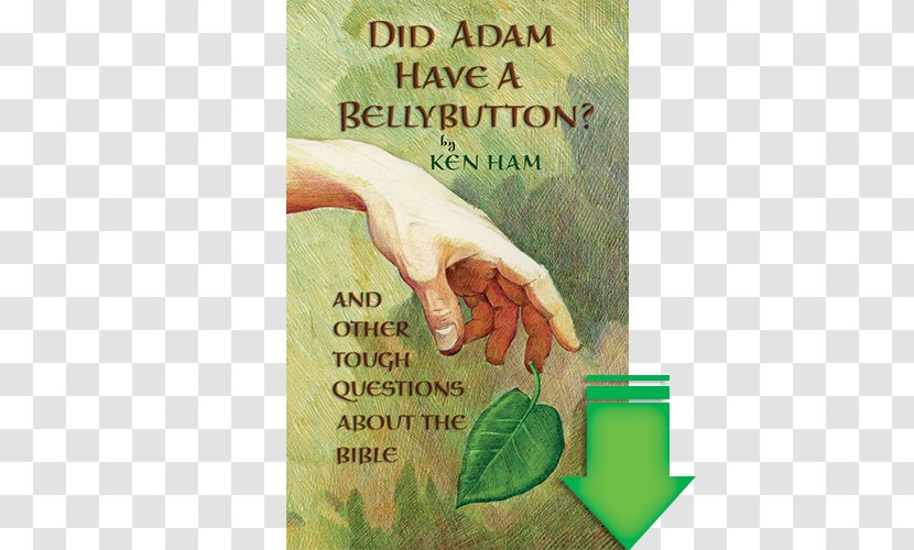 Did Adam Have A Belly Button Bible Book Navel Spirituality - Organism Transparent PNG