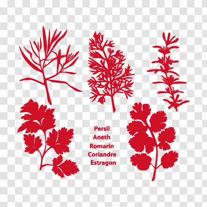 Floral Flower Background - Red - Pedicel Plant Transparent PNG