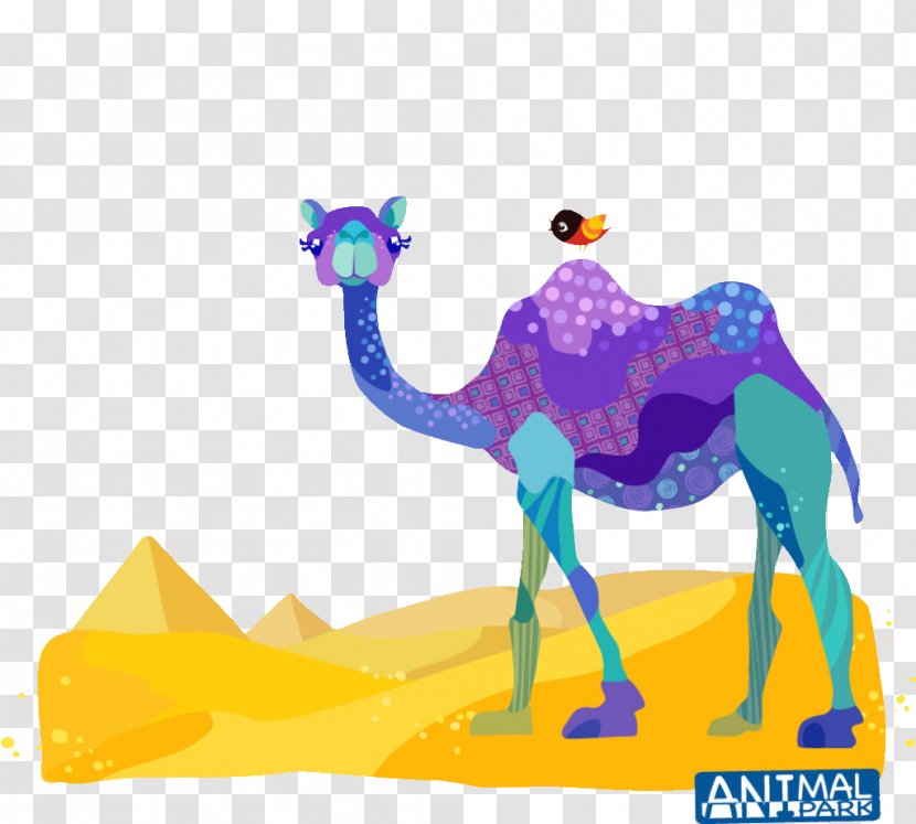 Dromedary Drawing Clip Art - Lost Camel Transparent PNG