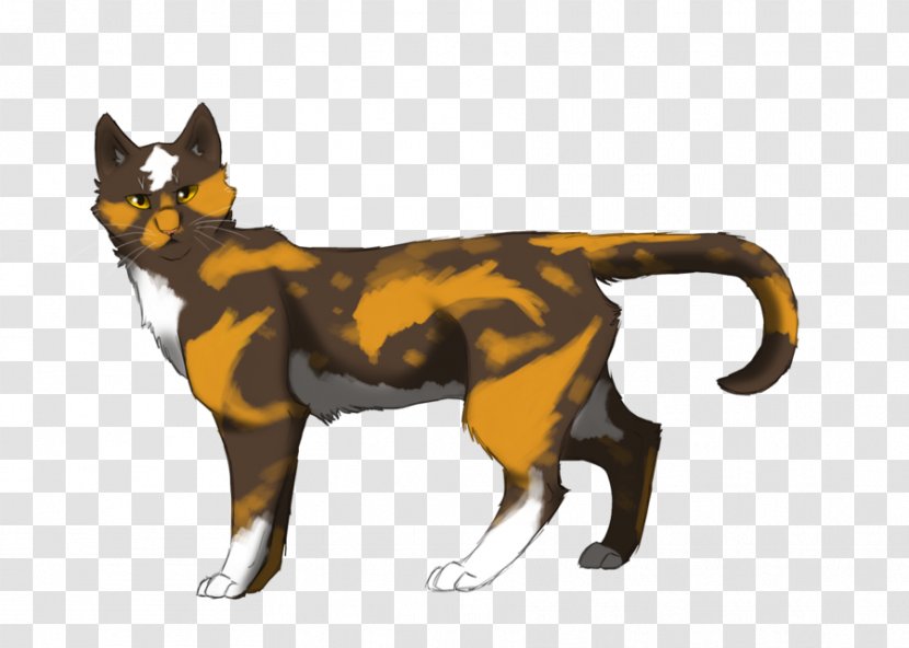 Cat Warriors Brightheart Fire And Ice Morningflower - Windclan Transparent PNG