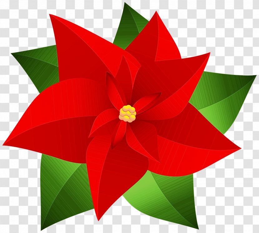 Christmas Poinsettia - Joulukukka - Wheel Holly Transparent PNG