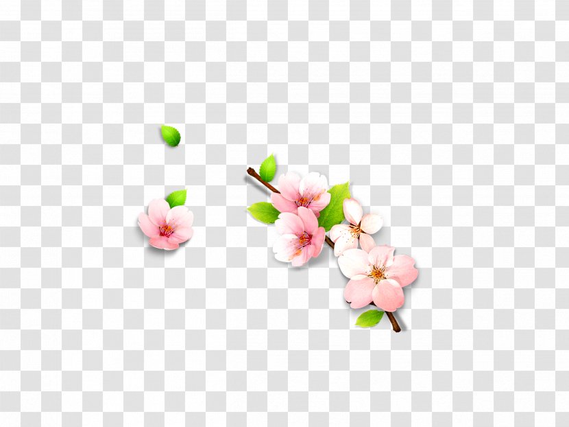 Petal Pink Wallpaper - Rgb Color Model - Plum Flower Transparent PNG