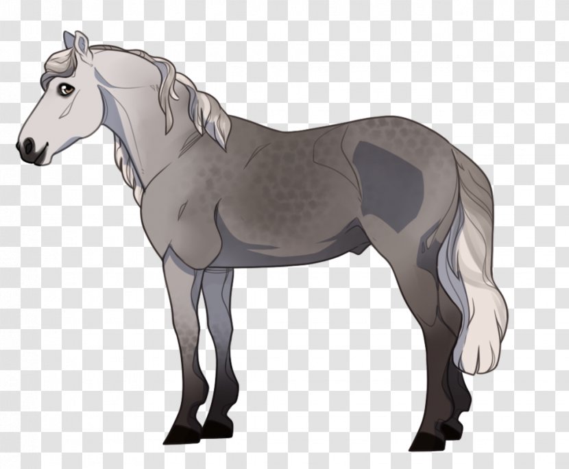 Mule Foal Stallion Mare Halter - Mammal - Irregular Background Shading Transparent PNG