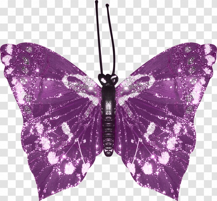 Monarch Butterfly Moth Clip Art - Moths And Butterflies Transparent PNG
