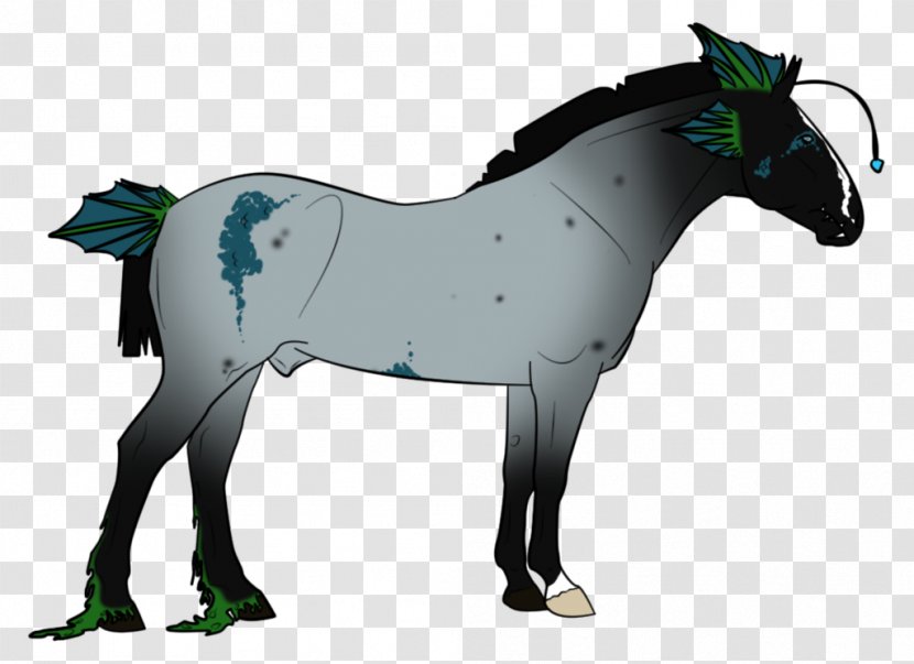 Stallion Mustang Foal Colt Mare - Vertebrate Transparent PNG