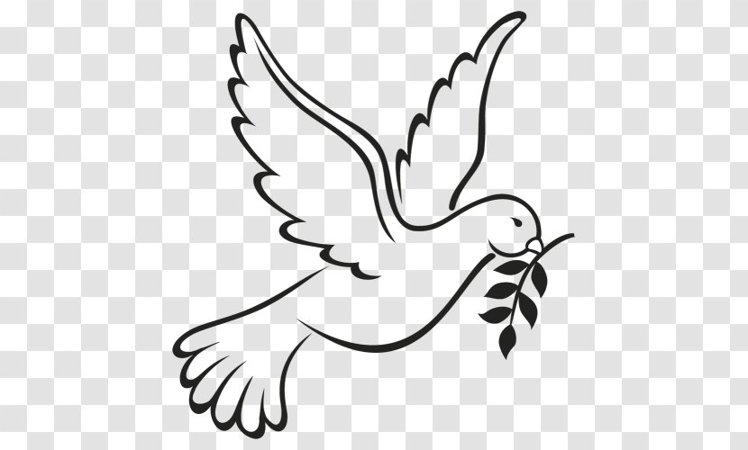 Columbidae Doves As Symbols Peace Vector Graphics - Wildlife - Symbol Transparent PNG