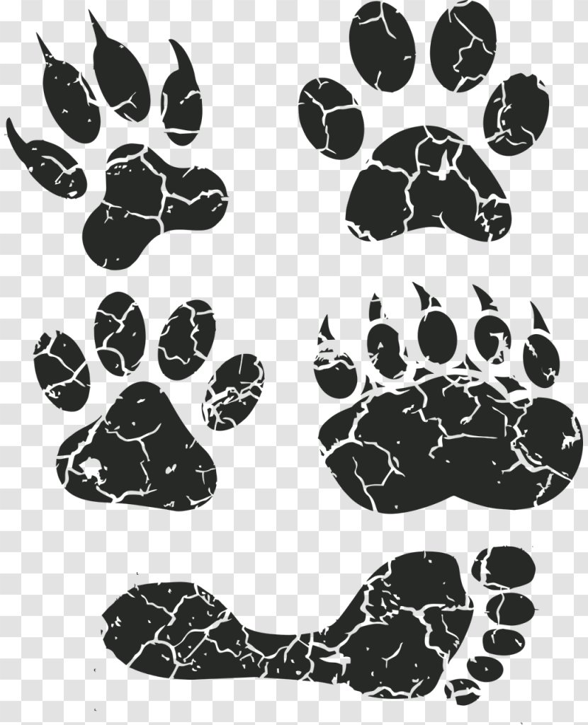 Border Collie Puppy Pet Sitting Dog Daycare Walking - Cat Claw Transparent PNG