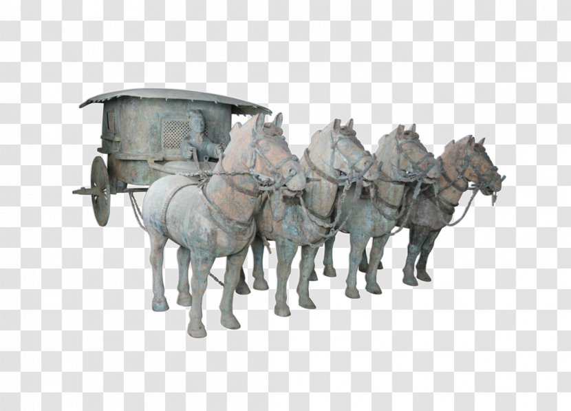 Terracotta Army Horse Qin Bronze Chariot - Snout - Stone Horses Transparent PNG