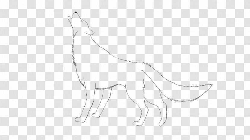 Canidae Cat Macropodidae Dog Mammal - Line Art Transparent PNG
