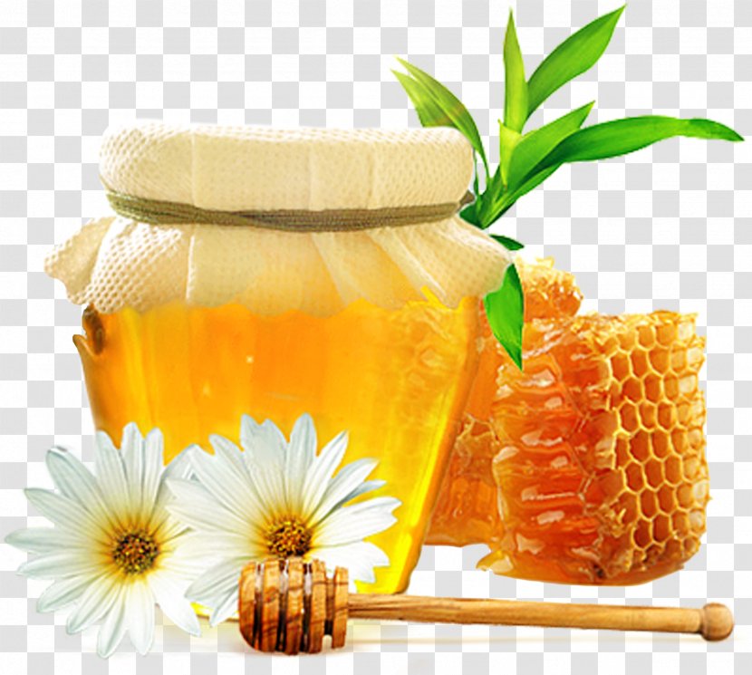 Honey Bee - Vegetarian Food Transparent PNG