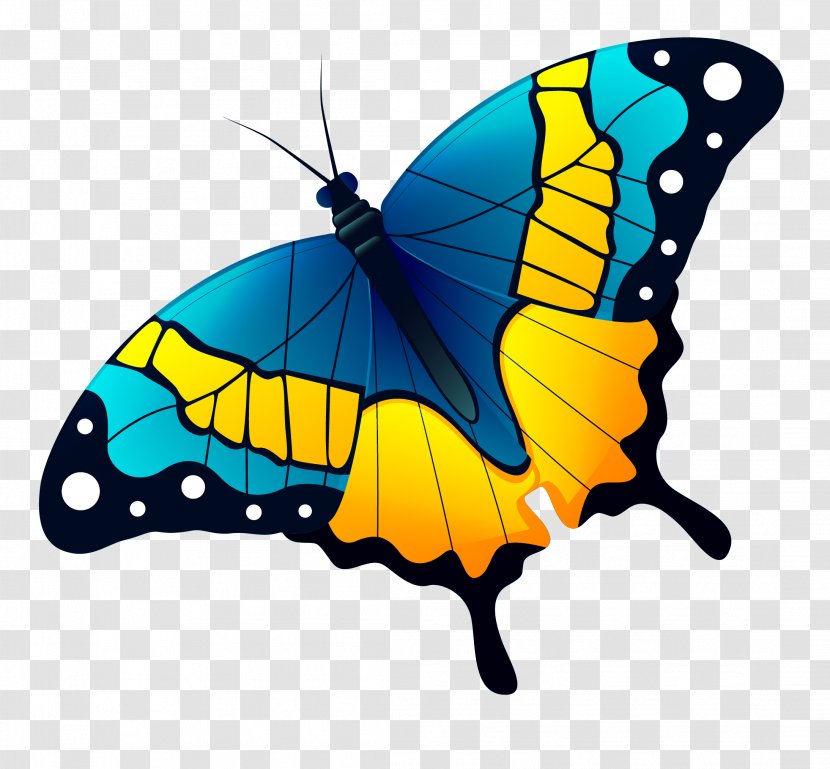 Monarch Butterfly Graphic Design - Designer - Vector Hand Painted Blue Transparent PNG