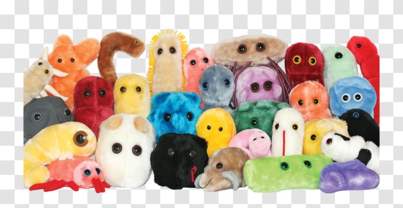 Plush Stuffed Animals & Cuddly Toys GIANTmicrobes Microorganism Bacteria - Toy - Child Transparent PNG