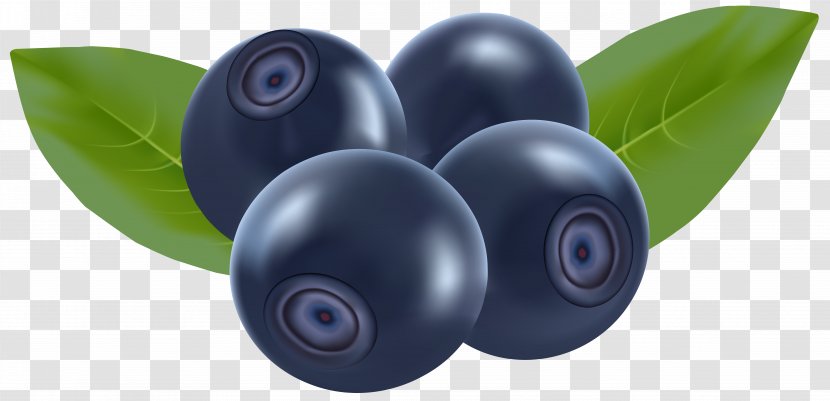Blueberry Clip Art - Technology - Blueberries Transparent PNG