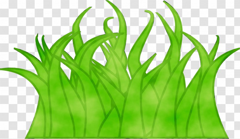 Wheatgrass Green Leaf Plant Stem Line Transparent PNG
