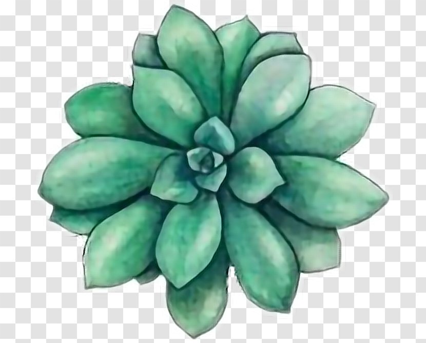Green Lotus Clip Art At Clkercom Vector Clip Art Online  Easy Drawings Of  Flowers  Free Transparent PNG Clipart Images Download