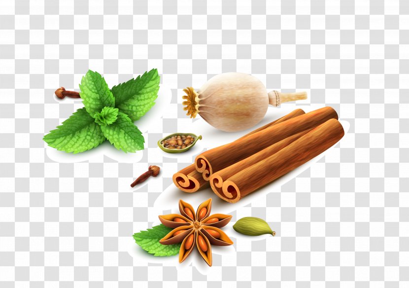 Spice Mint Cartoon - Ingredient - Vector Hand-painted Spices Transparent PNG