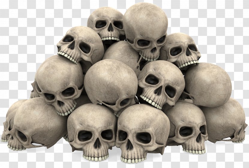 Skull Stock Photography Illustration - A Bunch Transparent PNG