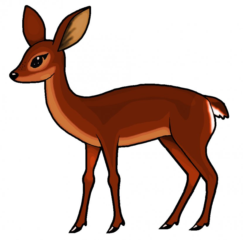 Roe Deer White-tailed Clip Art - Doe Cliparts Transparent PNG