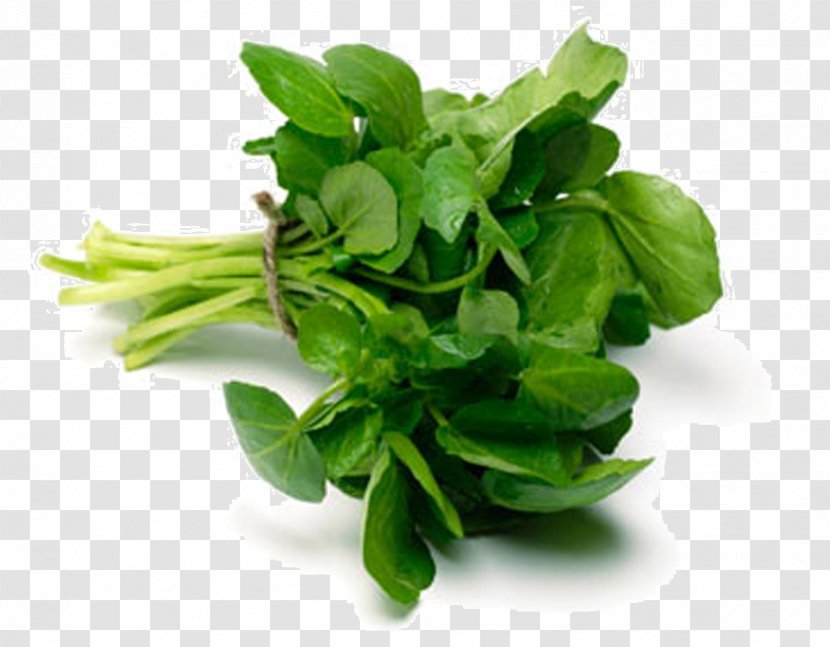 Tea Sandwich Watercress Soup Leaf Vegetable Health - Recipe - Ginger Transparent PNG