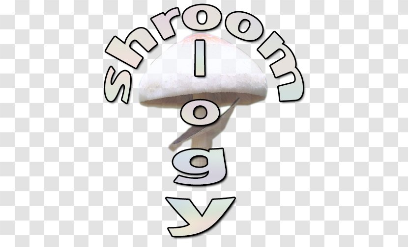 Psilocybin Mushroom Magic Mushrooms - Medicine Transparent PNG
